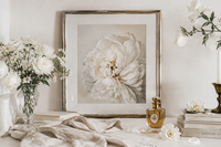 Ivory Petal - Lifestyle